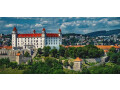 voditeli-sluzhb-taksi-bolt-uber-v-slovakiyu-small-0