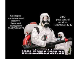 Дезинфекция