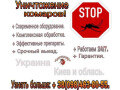 dezinfektsiya-small-1