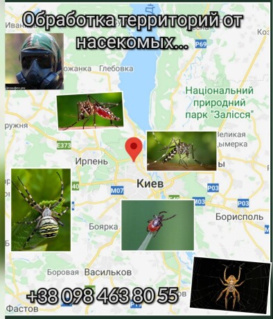 dezinfektsiya-big-2