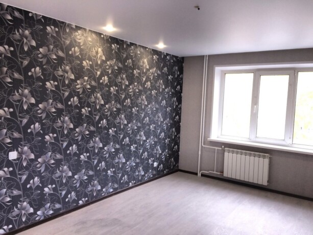 remont-big-2